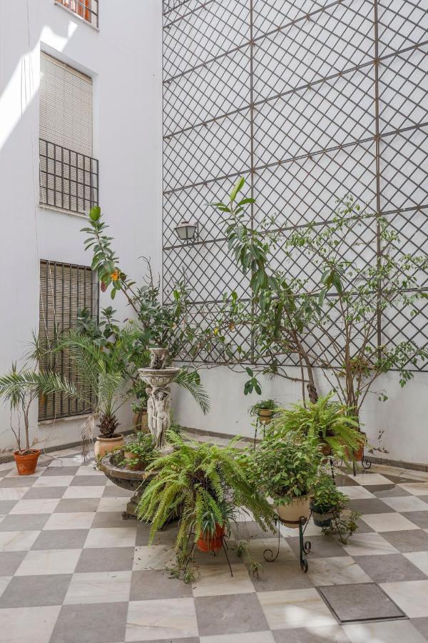 Fantastico Duplex 2 Terrazas 3 Habitaciones 2 Banos Sevilla Exterior foto